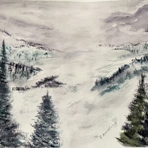 Snowy Veil in the Valley