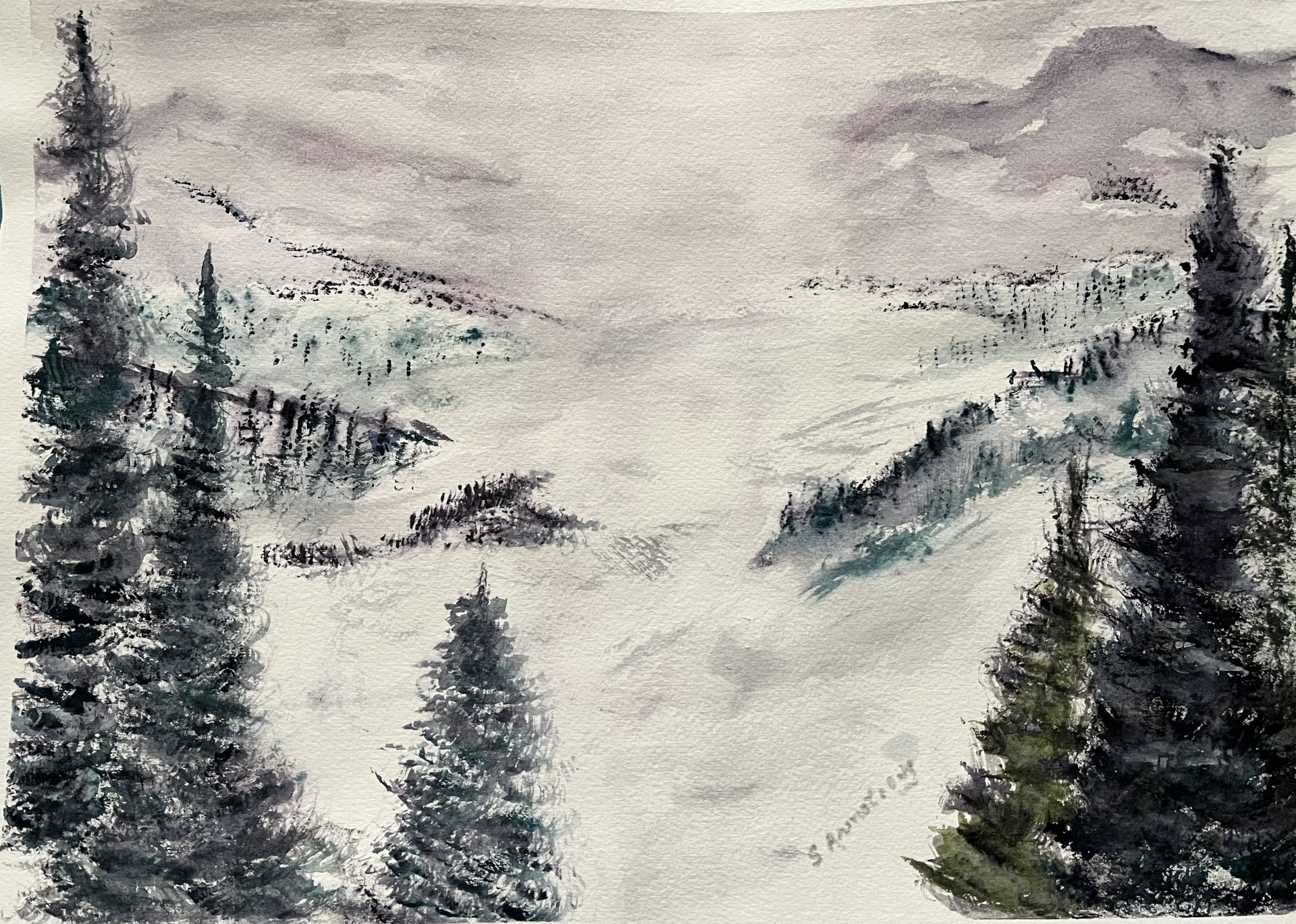 Snowy Veil in the Valley