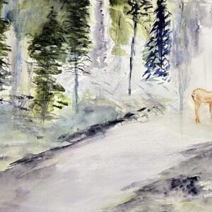 Serenity’s Woodland Gaze